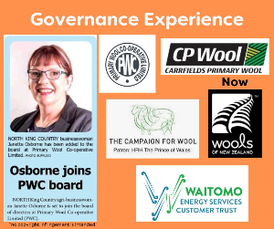 2022-09-06 Governance Experience-300